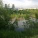 Здесь находился пруд на Ясеневском пустыре в городе Москва