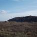 Территория бывшего подсобного хозяйства АСЗ в городе Комсомольск-на-Амуре