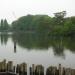 Senzoku-ike (Senzoku Pond) in Tokyo city