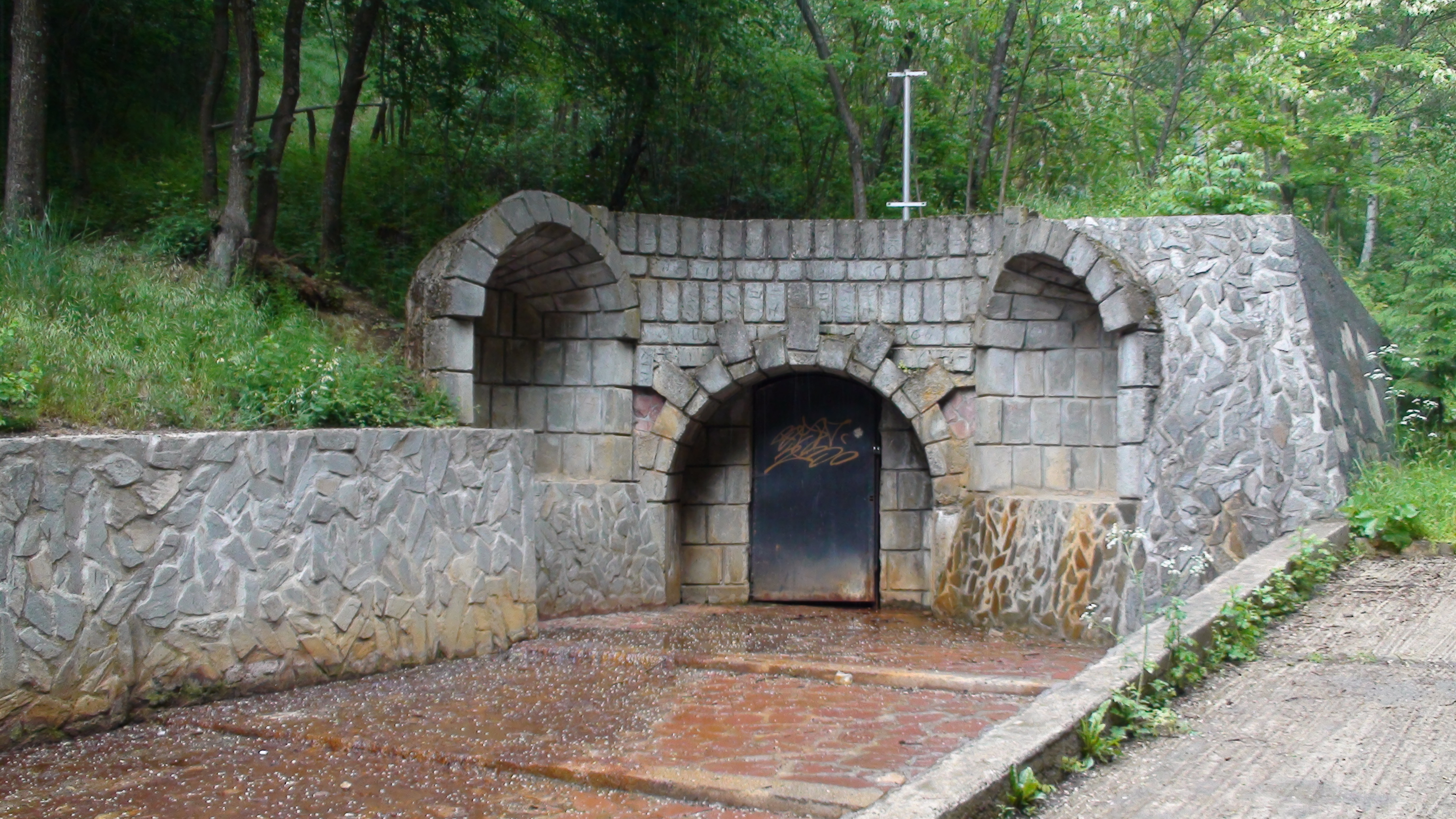 Извор „Желязната вода“