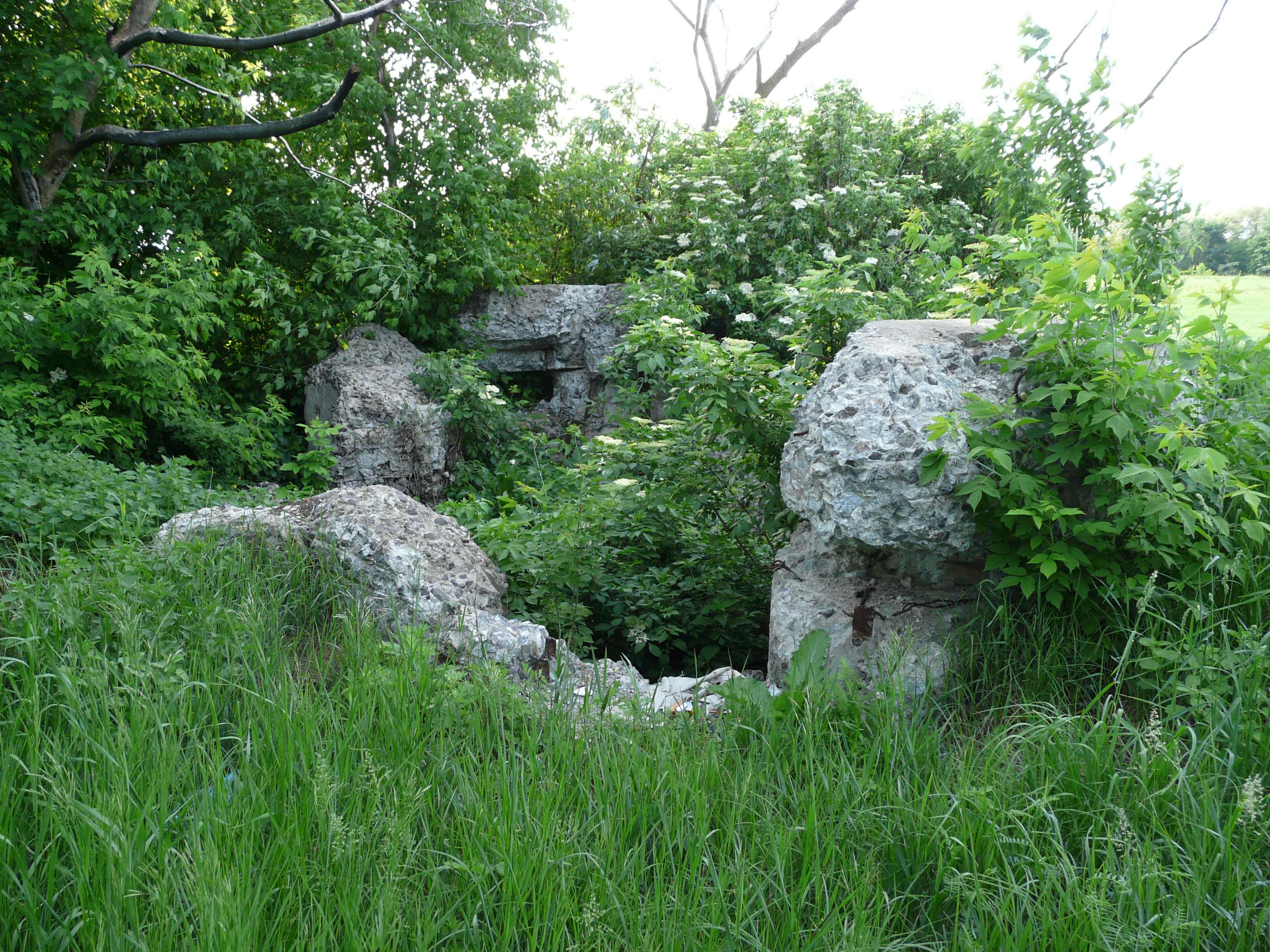 Pillbox 351