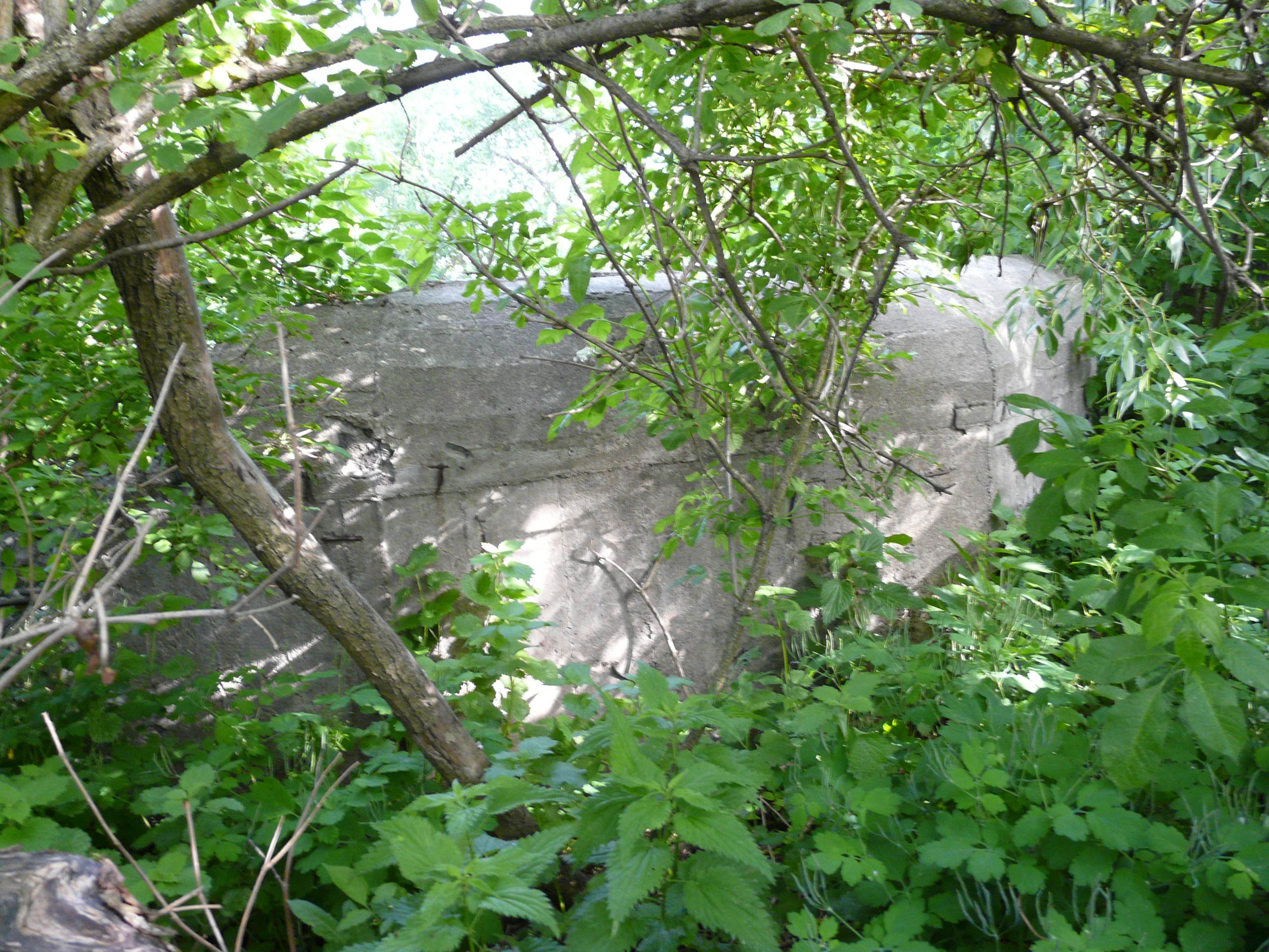 Pillbox 351