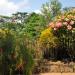 Animals World ONG Parc ASSANGO (fr) in Libreville city