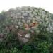 Nuraghe Aunes