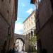 Lapide a Francesco Aromatari (it) in Assisi,  Italy city