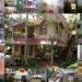 Accommodation in Kovalam-Ganesh House family club Homestay in Thiruvananthapuram city