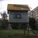 Голубник в місті Київ