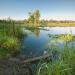 Озеро Мужское в городе Киев