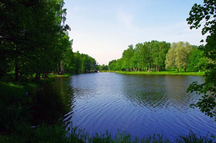 петергоф рыбалка в парке петергоф рыбалка в парке