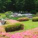 Iris Garden in Tokyo city