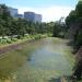 Hakucho-bori moat in Tokyo city