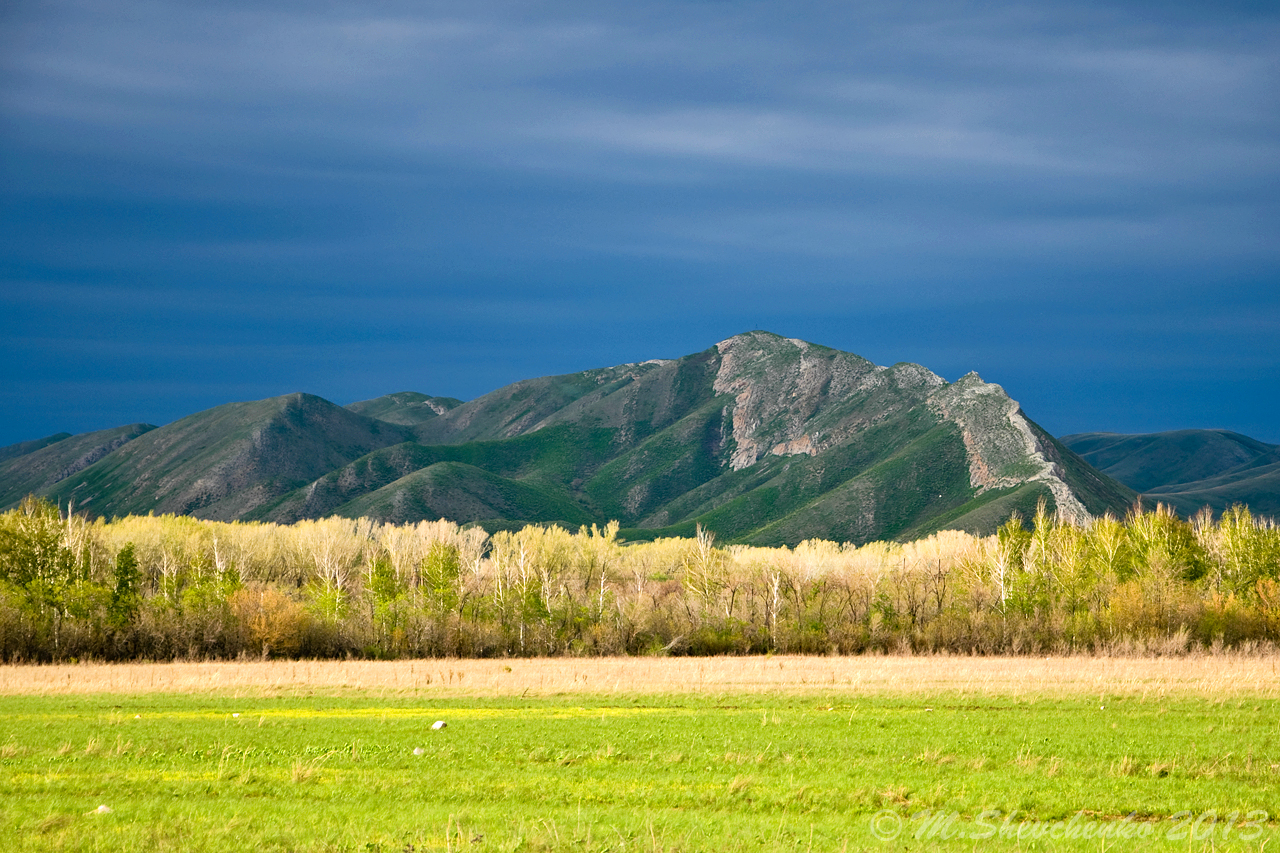 Саракташ парк