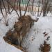 Газоубежище в городе Владивосток