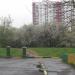 Остатки яблоневого сада в городе Москва