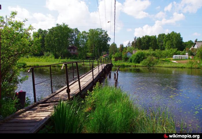 Пешеходный мост через Кривое озеро - Токсово