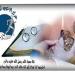 حجامة حسين اوجعفر