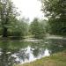 mill pond in Sopot city