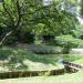 Koshin-do kamoba (Duck hunting pond) in Tokyo city