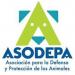 ASODEPA (es) in Maracaibo city