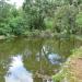 Lake in Sofia city