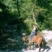 Horse riding in the valley