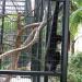 Hong Kong Zoological and Botanical Gardens