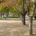 Alameda de Talca en la ciudad de Talca