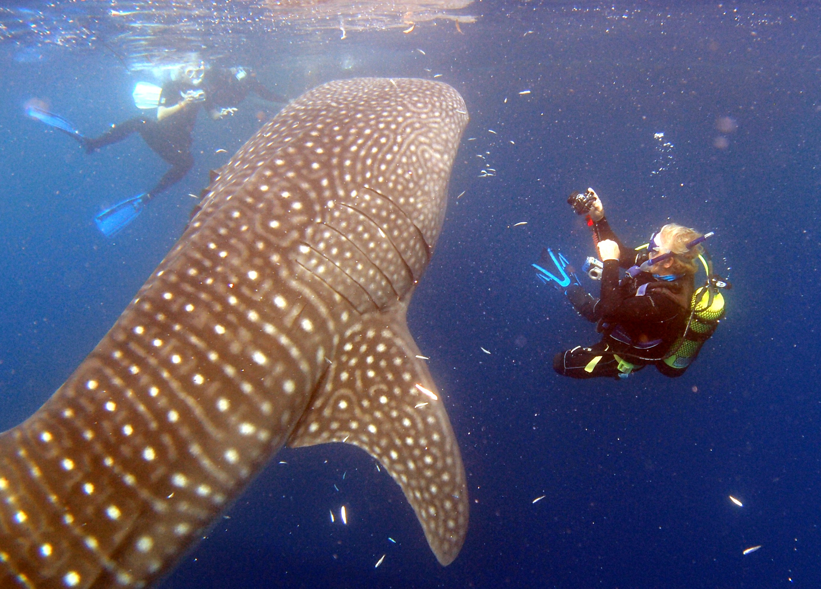 Biak Island