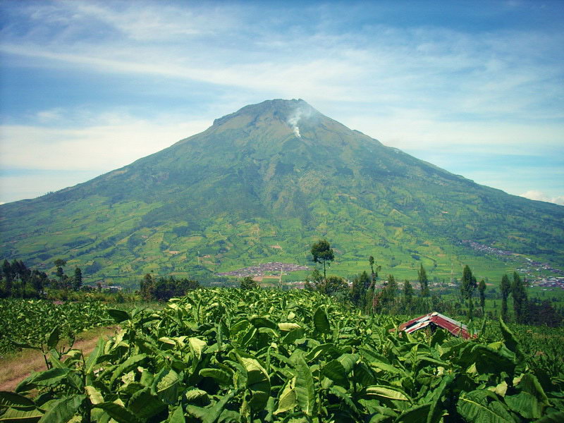 http://photos.wikimapia.org/p/00/03/35/31/95_full.jpg