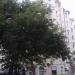Филипповский пер., 15/5 в городе Москва
