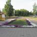 Клумба в городе Гомель