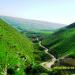 Gadara  (Umm Qais)