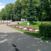 Цветник в городе Москва