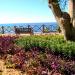 Falez Park in Antalya Metropolitan Municipality city