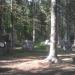 Пейнтбольная площадка в городе Череповец