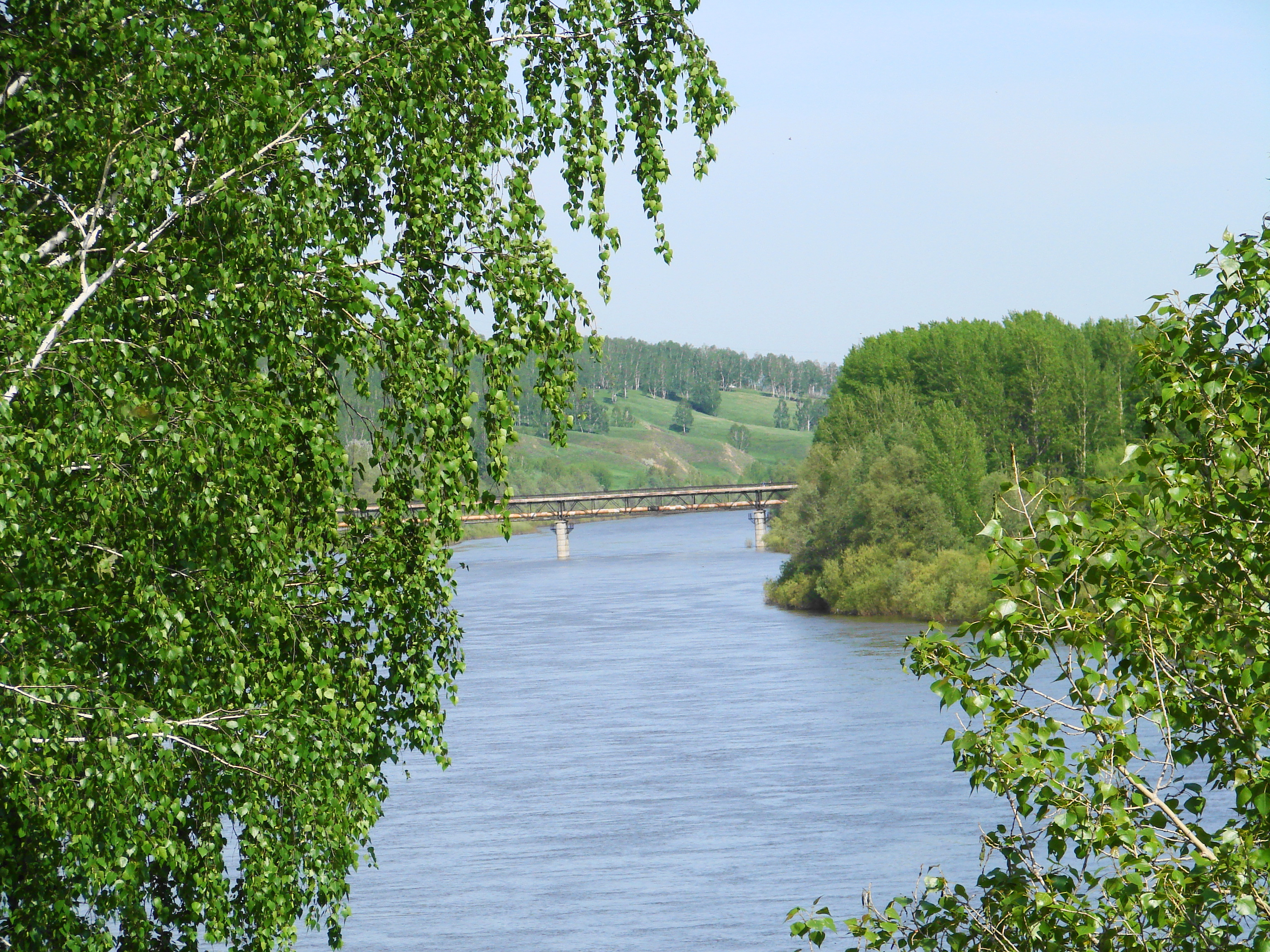 река иня новосибирск