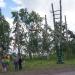 Тополиная аллея в городе Новосибирск