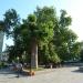 Sovetskaya square in Yalta city