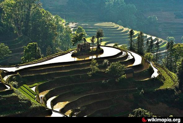 Культурный ландшафт рисовых терасс Хунхэ-Хани
