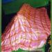 Shrine Of Hazrat Syed Janeman Jannati Radi Allaho Ta'ala Anho