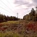 Forest break for Power Transmission Line