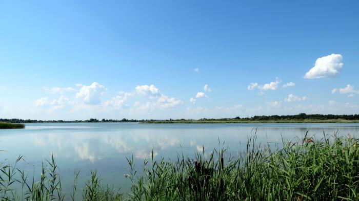 кимовское водохранилище рыбалка 2015 кимовское водохранилище рыбалка 2015