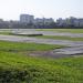 Stadium Lokomotiv in Brest city