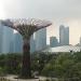 Supertree Grove in Republic of Singapore city