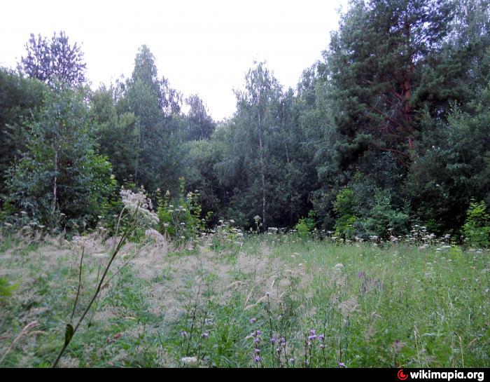 Поляна