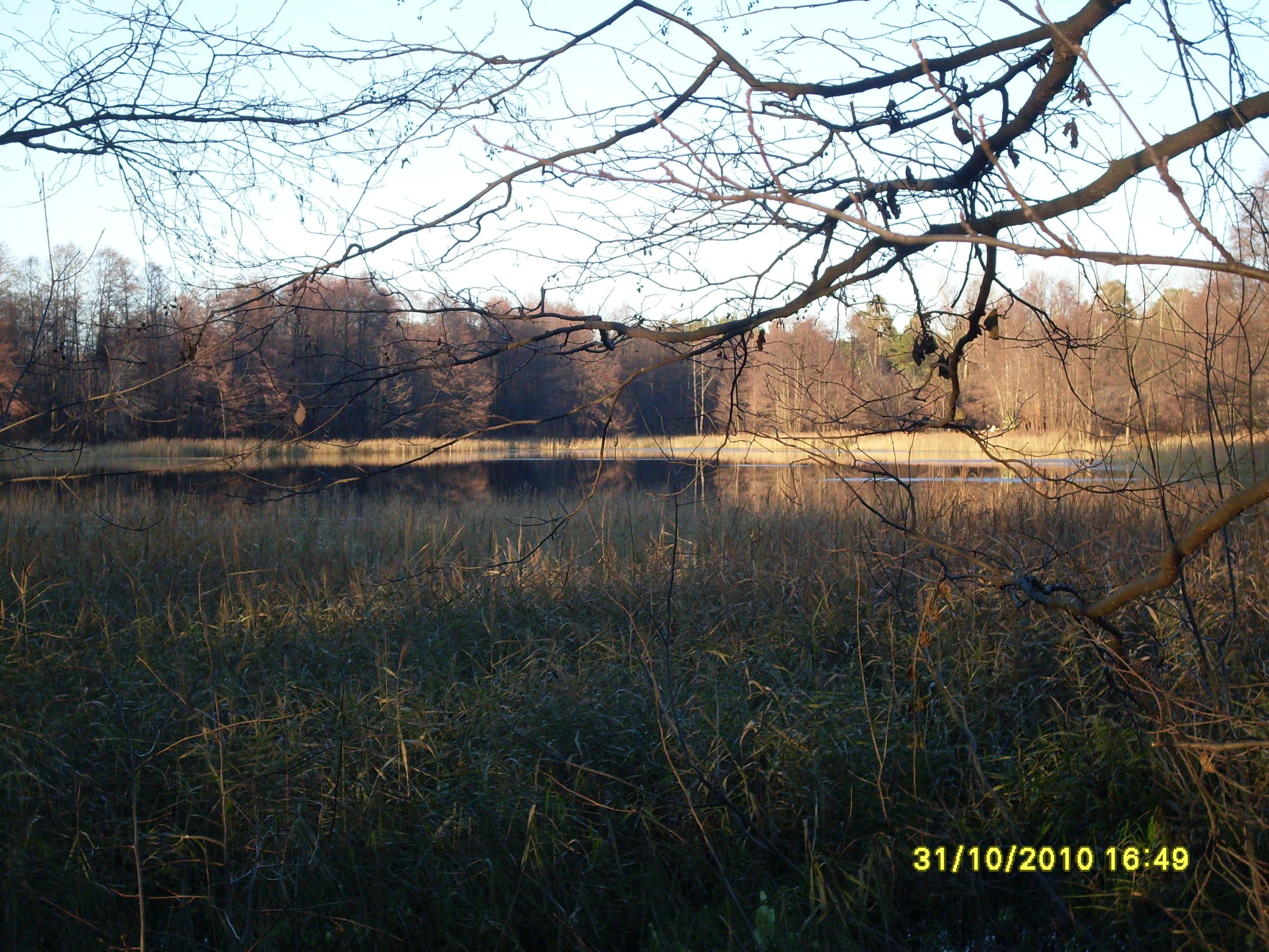 Озеро Старица Владимир