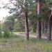 Загородный парк в городе Владимир