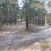Загородный парк в городе Владимир