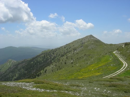 Бајрак