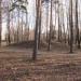 Парк камвольного комбината в городе Екатеринбург